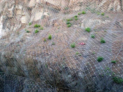 ɽ�w���o�W